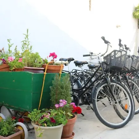 Jolie Maison Rethaise *** - Grand Jardin Privatif Holiday home La Couarde-sur-Mer