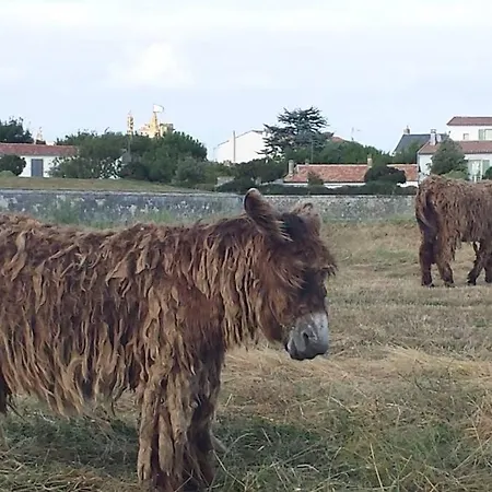 Jolie Maison Rethaise *** - Grand Jardin Privatif La Couarde-sur-Mer