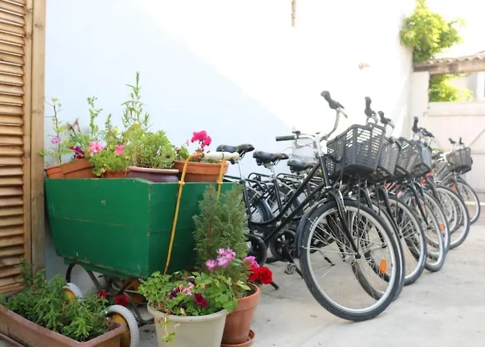 Jolie Maison Réthaise *** - Grand Jardin Privatif Сasa de vacaciones La Couarde-sur-Mer