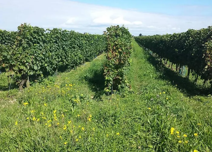 Jolie Maison Réthaise *** - Grand Jardin Privatif *