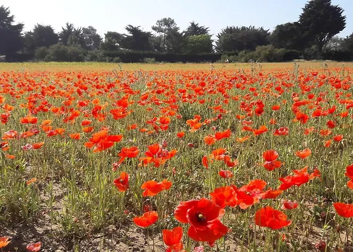 Jolie Maison Réthaise *** - Grand Jardin Privatif Сasa de vacaciones *