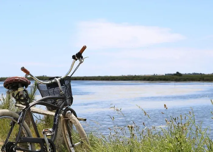 Jolie Maison Réthaise *** - Grand Jardin Privatif Сasa de vacaciones *